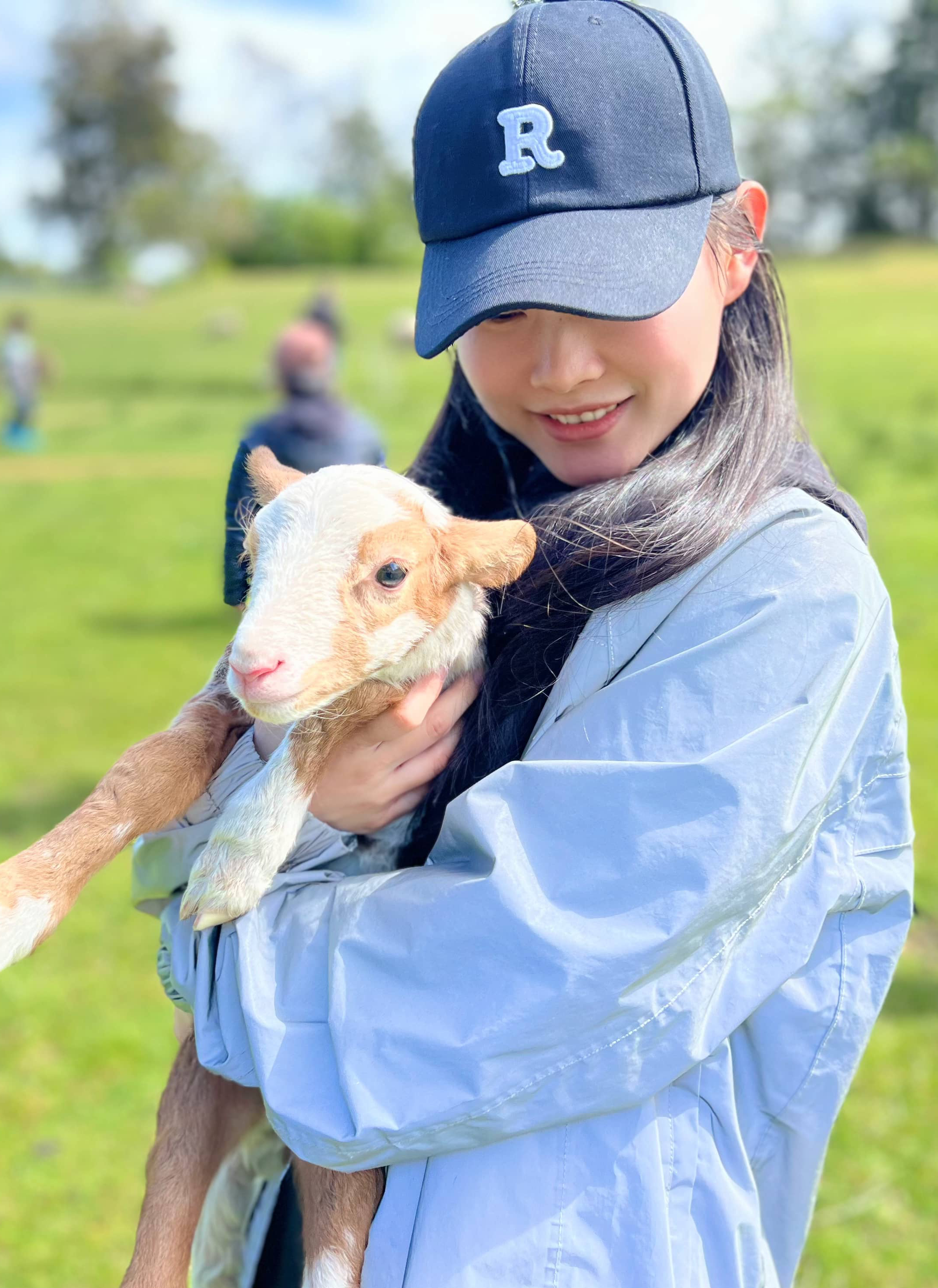Sheep Farm