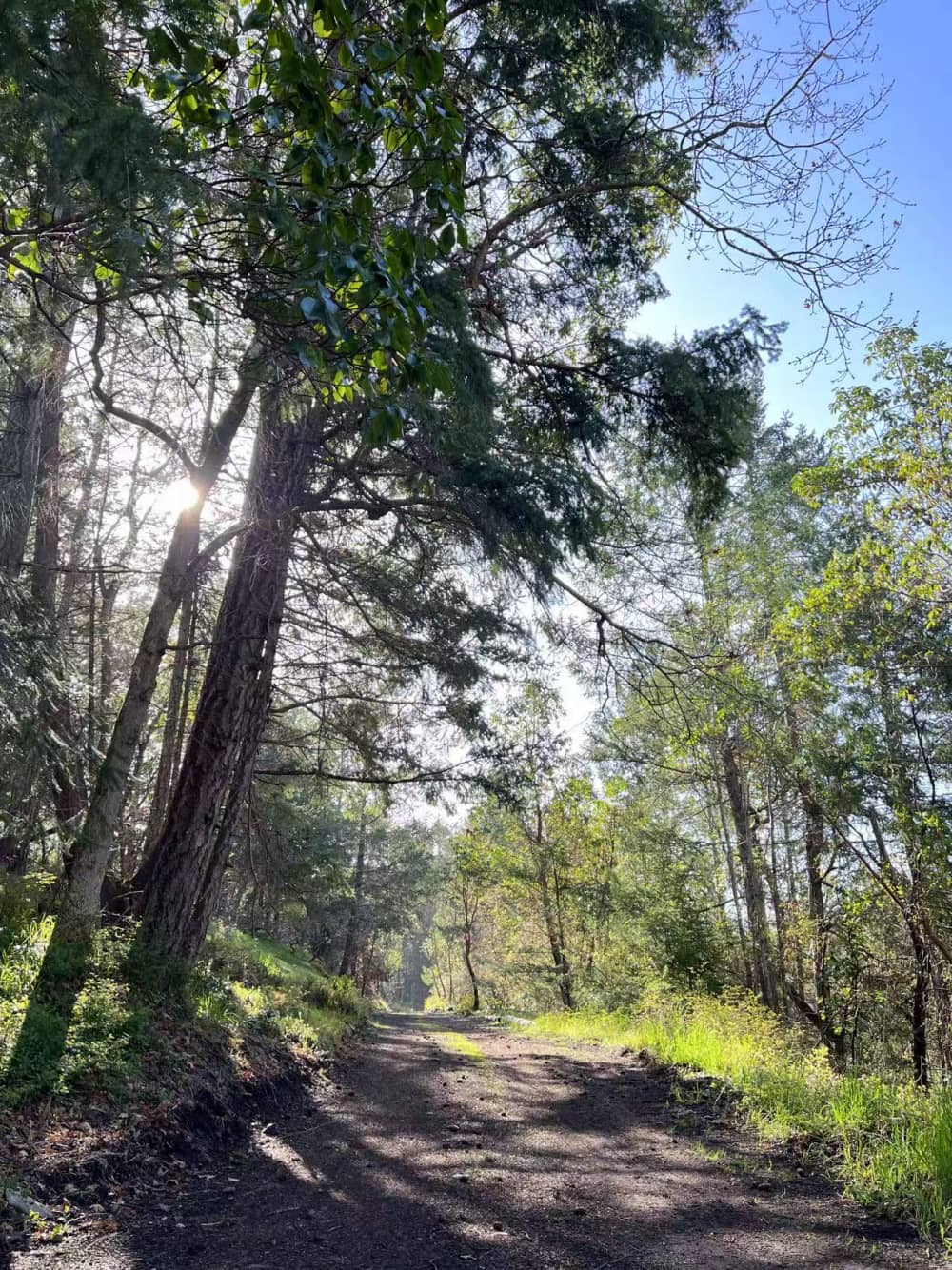 Hiking