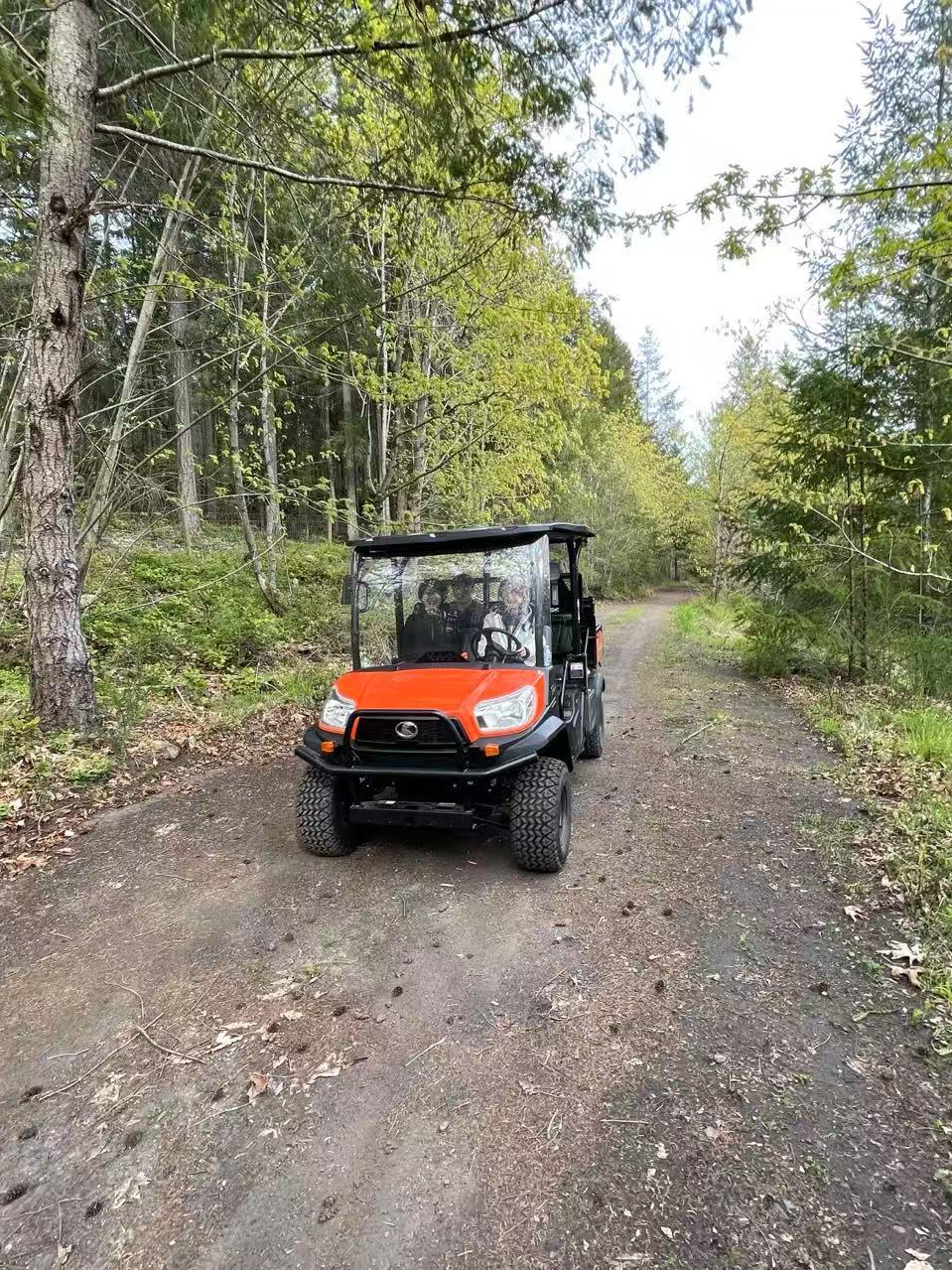 RTV